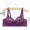 Plus Size Embroidery Lace PushUp Bra 9