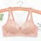 Plus Size Embroidery Lace PushUp Bra 13