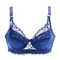Big Size Lace PushUp Bra 9