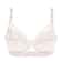 Big Size Lace PushUp Bra 15