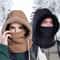 Unisex Thermal Plush Balaclava Hood Set 0