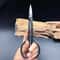 Steel LongHandle Bonsai Scissors Precision Pruning Grafting Tool 4