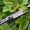 Steel LongHandle Bonsai Scissors Precision Pruning Grafting Tool 5