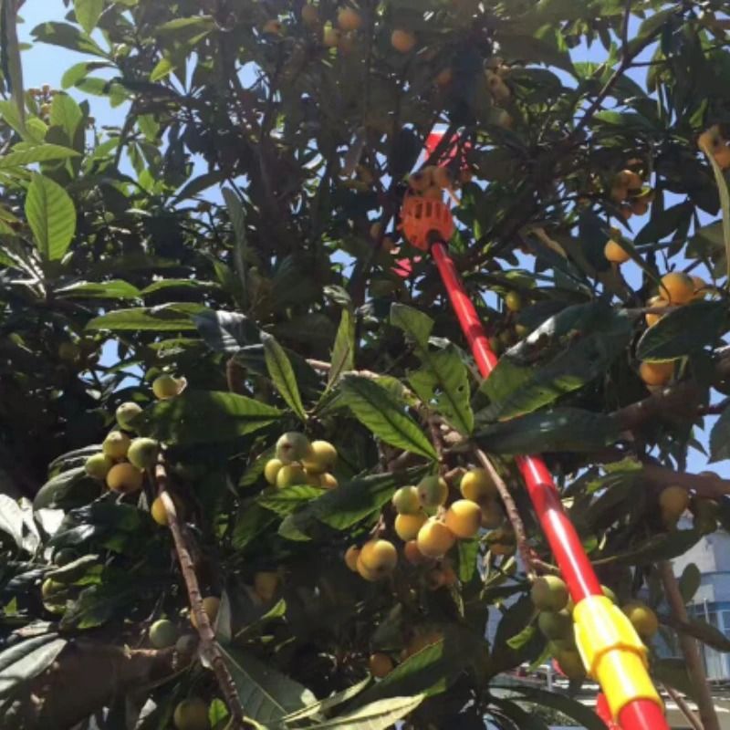 Farm Garden Picking Device Convenient DeepBasket Fruit Catcher 4