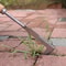 Stainless Steel MultiPurpose Weeding Tool Precision Hand Tool For Gardening Foraging 6