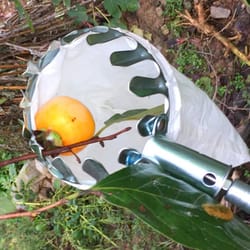 high-altitude telescopic fruit picker – professional garden harvester