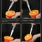 Stainless Steel Citrus Peeler Corer 5