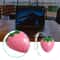 Creative Strawberry Shaped Mini Wired Mouse 0