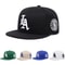 Los Angeles Earth Letter Embroidered Flat Edge Hat 0