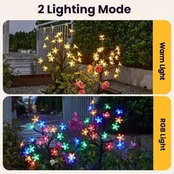solar cherry blossom ground landscape light