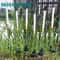 Solar Luminous Reed LED Landscape Stake 4