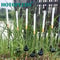Solar Luminous Reed LED Landscape Stake 4