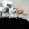 Kawaii Cute Cat Doll Desktop Ornamen 2