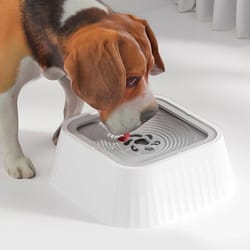 anti-splash floating pet water fountain