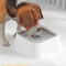 AntiSplash Floating Pet Water Fountain 0