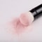 Multifunctional Makeup Brush Portable Travel Tool With Protective Lid 3