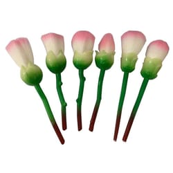 6-piece rose flower professional makeup brush set – enchanted garden cosmetic collection