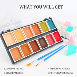 alcohol-activated sfx palette – 12-color waterproof artist collection