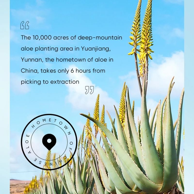 Aloe Vera Intensive Repair Hand Cream 30g Nourishing Serum Infusion 3