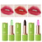 Aloe Vera Soothing TemperatureColorChanging Lipstick 1