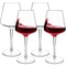 2Piece Unbreakable Tritan Wine Goblet Set 1