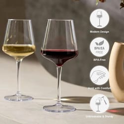 2-piece unbreakable tritan wine goblet set
