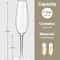 2Piece Shatterproof Tritan Champagne Flute Set 2