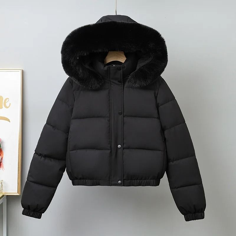 Short Thermal Winter Parka Thickened Velvet Hooded Jacket 1