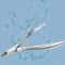 Precision Orthopedic Toenail Clippers Stainless Steel HeavyDuty Trimming Tool 4
