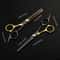 2Piece Professional Hair Scissors Set Precision SelfTrimming Grooming Kit 3
