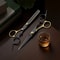 2Piece Professional Hair Scissors Set Precision SelfTrimming Grooming Kit 5