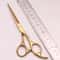 Japan 440C Steel Hairdressing Shears Precision Gold Barber Scissors 2