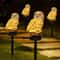 Solar Owl Landscape Guardian Light 0