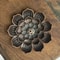 Artisanal Porous Lotus Incense Holder 4