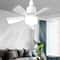 Smart Wireless Socket Ceiling Fan Light 2