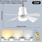 Smart Wireless Socket Ceiling Fan Light 3