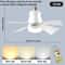 Smart Wireless Socket Ceiling Fan Light 6