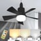 Smart Wireless Socket Ceiling Fan Light 7