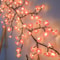 Botanical Willow Blossom Vine Lights 1