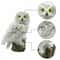 Wise Sentinel Solar Owl Garden Stake 4