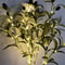 Mediterranean Luminous Olive Branches 3