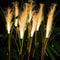Luminous Marsh Reed Solar Stakes 0