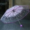 Fashionable Transparent Sakura Petal Folding Umbrella 9
