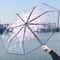 Fashionable Transparent Sakura Petal Folding Umbrella 5