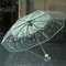 Fashionable Transparent Sakura Petal Folding Umbrella 6