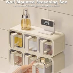 wall-mounted moisture-proof seasoning storage system