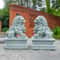 Lucky Wealth Stone Guardian Lion Pair 4