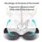 NonSlip Orthopedic Memory Foam Seat Cushion 4