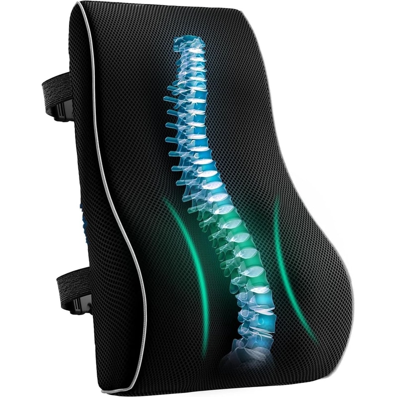 HighDefinition Memory Foam Lumbar Support Cushion 0