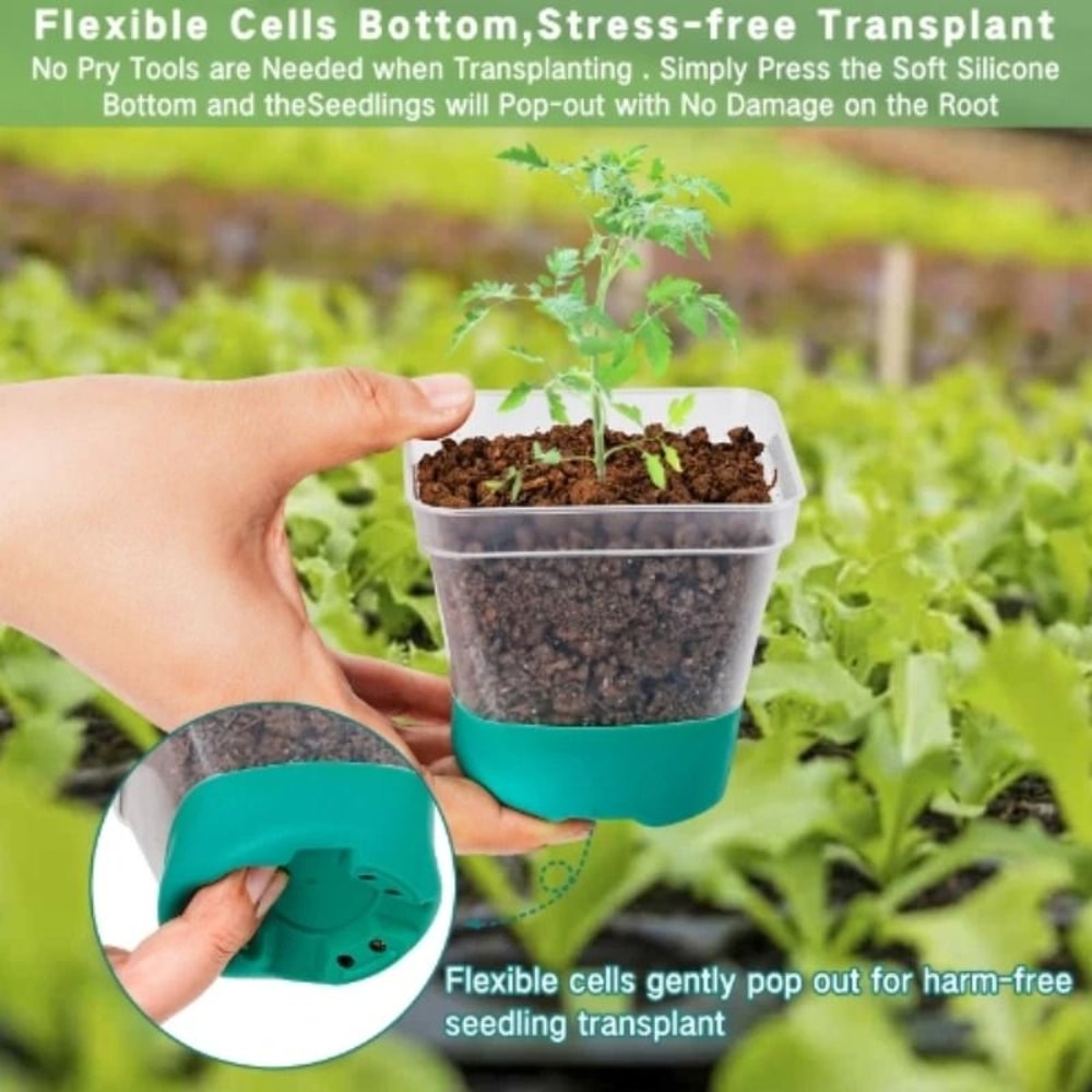 6Piece HighTorque Transparent Seedling Planting System 1